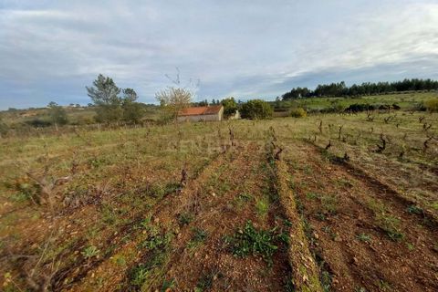 Gårdshus i Ninho do Acor, Castelo Branco, Ninho do Acor - € 100 000 | Ref: C0434-00606 - foto 4