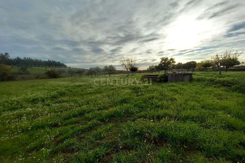 Gårdshus i Ninho do Acor, Castelo Branco, Ninho do Acor - € 100 000 | Ref: C0434-00606 - foto 14
