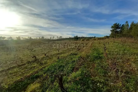 Gårdshus i Ninho do Acor, Castelo Branco, Ninho do Acor - € 100 000 | Ref: C0434-00606 - foto 15