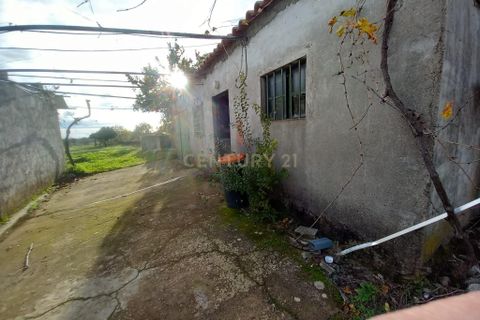 Gårdshus i Ninho do Acor, Castelo Branco, Ninho do Acor - € 100 000 | Ref: C0434-00606 - foto 23
