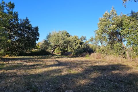 Helårsgrund i Castelo Branco, Castelo Branco, Castelo Branco - € 14.500 | Ref: C0434-00634 - foto 4
