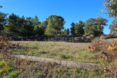 Helårsgrund i Castelo Branco, Castelo Branco, Castelo Branco - € 14.500 | Ref: C0434-00634 - foto 5