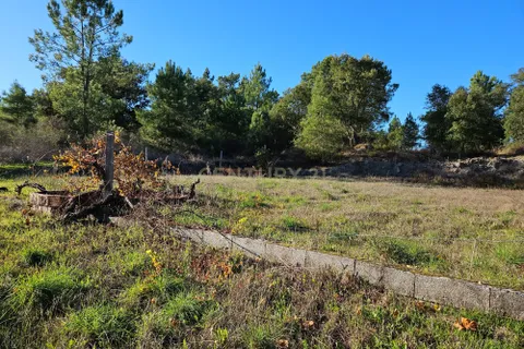Helårsgrund i Castelo Branco, Castelo Branco, Castelo Branco - € 14.500 | Ref: C0434-00634 - foto 8
