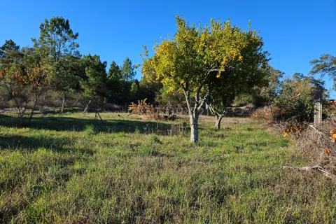 Helårsgrund i Castelo Branco, Castelo Branco, Castelo Branco - € 14.500 | Ref: C0434-00634 - foto 9