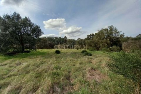 Helårsgrund i Castelo Branco, Castelo Branco, Castelo Branco - € 12.500 | Ref: C0434-00675 - foto 4