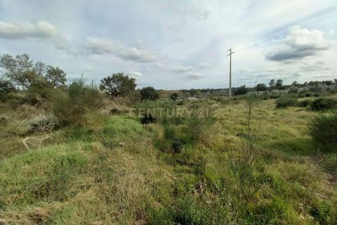 Helårsgrund i Castelo Branco, Castelo Branco, Castelo Branco - € 12.500 | Ref: C0434-00675 - foto 5