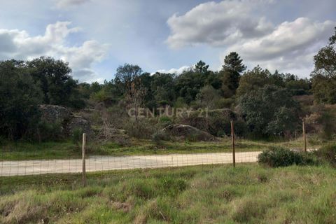 Helårsgrund i Castelo Branco, Castelo Branco, Castelo Branco - € 12.500 | Ref: C0434-00675 - foto 7