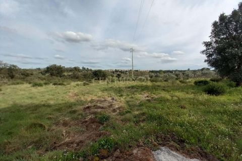Helårsgrund i Castelo Branco, Castelo Branco, Castelo Branco - € 12.500 | Ref: C0434-00675 - foto 11
