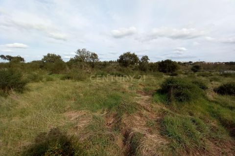 Helårsgrund i Castelo Branco, Castelo Branco, Castelo Branco - € 12.500 | Ref: C0434-00675 - foto 12