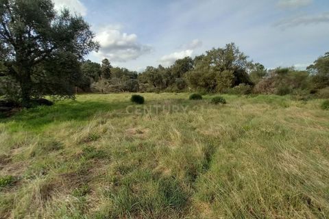 Helårsgrund i Castelo Branco, Castelo Branco, Castelo Branco - € 12.500 | Ref: C0434-00675 - foto 14