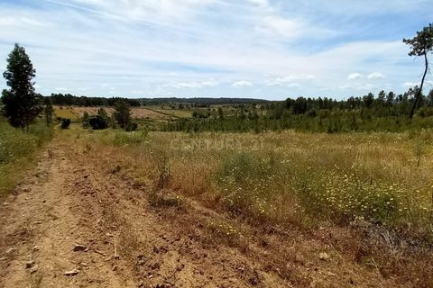 Farm hus i Ninho do Acor, Castelo Branco, Ninho do Acor - € 32.500 | Ref: C0434-00751 - foto 1
