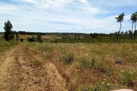 Farm hus i Ninho do Acor, Castelo Branco, Ninho do Acor - € 32.500 | Ref: C0434-00751 - foto 2