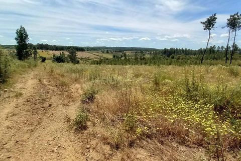 Farm hus i Ninho do Acor, Castelo Branco, Ninho do Acor - € 32.500 | Ref: C0434-00751 - foto 3