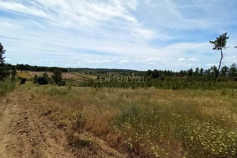 Farm hus i Ninho do Acor, Castelo Branco, Ninho do Acor - € 32.500 | Ref: C0434-00751 - foto 4