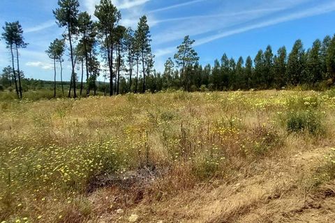 Farm hus i Ninho do Acor, Castelo Branco, Ninho do Acor - € 32.500 | Ref: C0434-00751 - foto 5