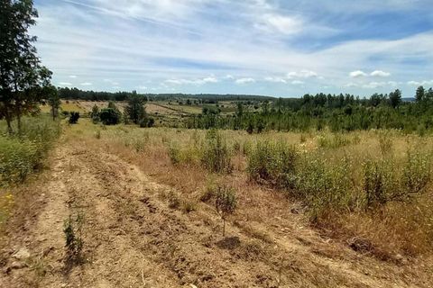Farm hus i Ninho do Acor, Castelo Branco, Ninho do Acor - € 32.500 | Ref: C0434-00751 - foto 6