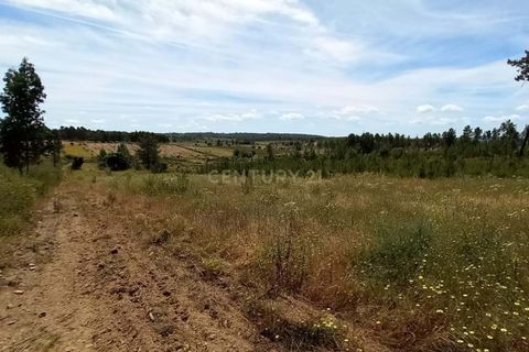 Farm hus i Ninho do Acor, Castelo Branco, Ninho do Acor - € 32.500 | Ref: C0434-00751 - foto 7