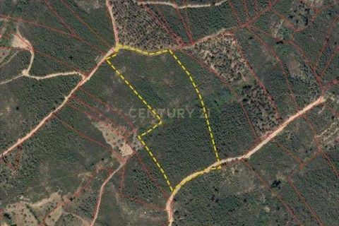 Helårsgrund i Castelo Branco, Castelo Branco, Castelo Branco - € 6.500 | Ref: C0434-00881 - foto 7