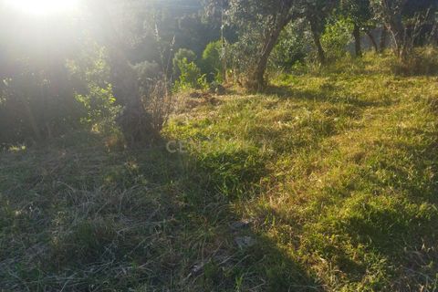Helårsgrund i Castelo Branco, Castelo Branco, Castelo Branco - € 7.500 | Ref: C0434-00814 - foto 2