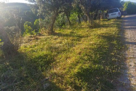 Helårsgrund i Castelo Branco, Castelo Branco, Castelo Branco - € 7.500 | Ref: C0434-00814 - foto 3