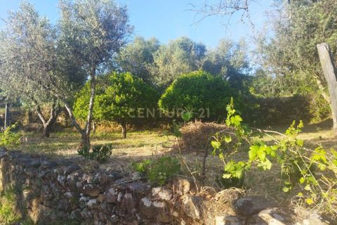 Helårsgrund i Castelo Branco, Castelo Branco, Castelo Branco - € 7.500 | Ref: C0434-00814 - foto 4