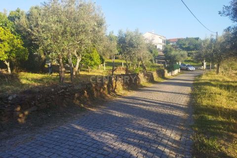 Helårsgrund i Castelo Branco, Castelo Branco, Castelo Branco - € 7.500 | Ref: C0434-00814 - foto 10