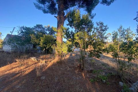 Farm hus i Escalos de Cima e Lousa, Castelo Branco, Escalos de Cima e Lousa - € 395.000 | Ref: C0434-00829 - foto 2