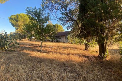 Farm hus i Escalos de Cima e Lousa, Castelo Branco, Escalos de Cima e Lousa - € 395.000 | Ref: C0434-00829 - foto 3