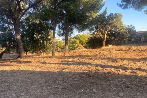 Farm hus i Escalos de Cima e Lousa, Castelo Branco, Escalos de Cima e Lousa - € 395.000 | Ref: C0434-00829 - foto 4