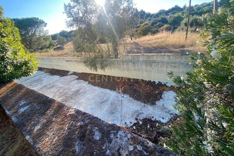 Farm hus i Escalos de Cima e Lousa, Castelo Branco, Escalos de Cima e Lousa - € 395.000 | Ref: C0434-00829 - foto 5