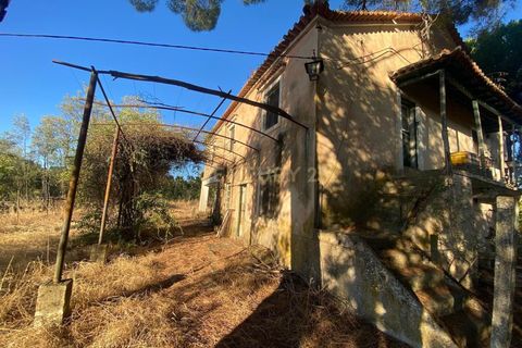 Farm hus i Escalos de Cima e Lousa, Castelo Branco, Escalos de Cima e Lousa - € 395.000 | Ref: C0434-00829 - foto 7