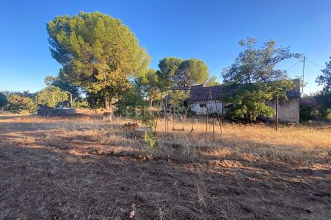Farm hus i Escalos de Cima e Lousa, Castelo Branco, Escalos de Cima e Lousa - € 395.000 | Ref: C0434-00829 - foto 8