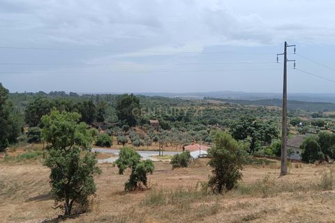 Helårsgrund i Castelo Branco, Castelo Branco, Castelo Branco - € 55.000 | Ref: C0434-01048 - foto 2