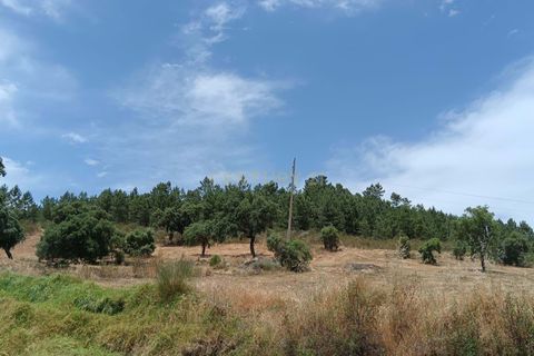Helårsgrund i Castelo Branco, Castelo Branco, Castelo Branco - € 55.000 | Ref: C0434-01048 - foto 3