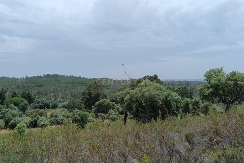 Helårsgrund i Castelo Branco, Castelo Branco, Castelo Branco - € 55.000 | Ref: C0434-01048 - foto 4