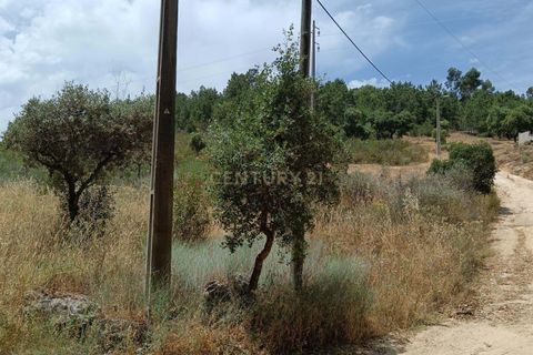 Helårsgrund i Castelo Branco, Castelo Branco, Castelo Branco - € 55.000 | Ref: C0434-01048 - foto 9