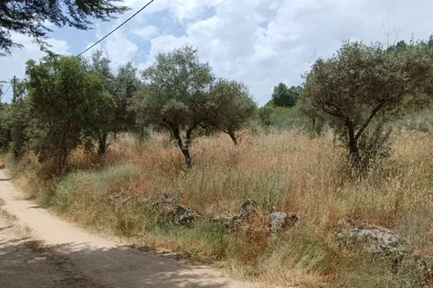 Helårsgrund i Castelo Branco, Castelo Branco, Castelo Branco - € 55.000 | Ref: C0434-01048 - foto 10