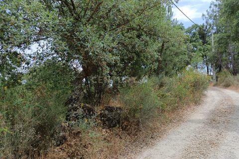 Helårsgrund i Castelo Branco, Castelo Branco, Castelo Branco - € 5.000 | Ref: C0434-01049 - foto 5