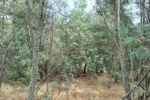 Helårsgrund i Castelo Branco, Castelo Branco, Castelo Branco - € 5.000 | Ref: C0434-01049 - foto 7