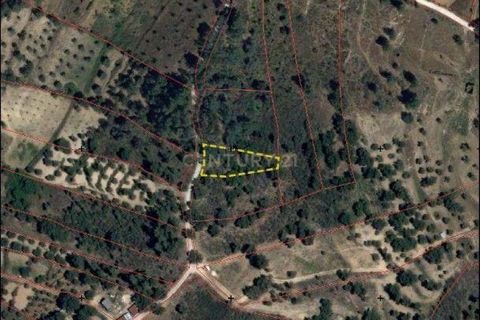 Helårsgrund i Castelo Branco, Castelo Branco, Castelo Branco - € 5.000 | Ref: C0434-01049 - foto 10