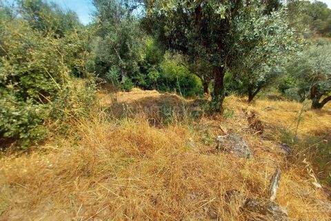 Helårsgrund i Castelo Branco, Castelo Branco, Castelo Branco - € 5.000 | Ref: C0434-01060 - foto 4