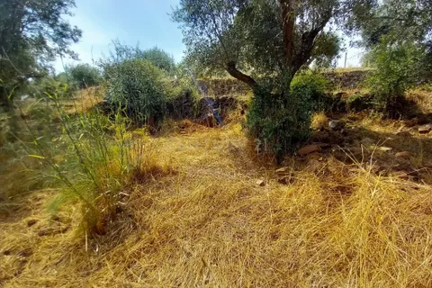 Helårsgrund i Castelo Branco, Castelo Branco, Castelo Branco - € 5.000 | Ref: C0434-01060 - foto 7
