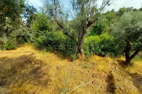 Helårsgrund i Castelo Branco, Castelo Branco, Castelo Branco - € 5.000 | Ref: C0434-01060 - foto 8
