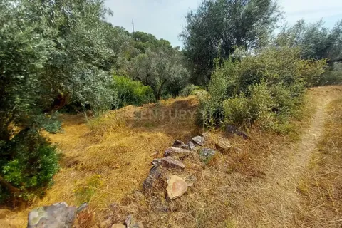 Helårsgrund i Castelo Branco, Castelo Branco, Castelo Branco - € 5.000 | Ref: C0434-01060 - foto 9