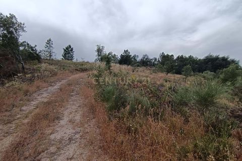 Helårsgrund i Castelo Branco, Castelo Branco, Castelo Branco - € 15.000 | Ref: C0434-01076 - foto 1