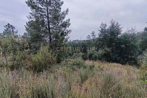 Helårsgrund i Castelo Branco, Castelo Branco, Castelo Branco - € 15.000 | Ref: C0434-01076 - foto 2