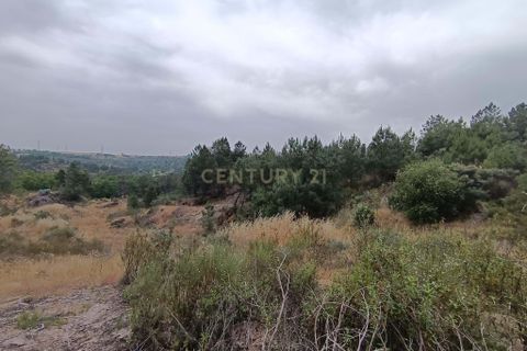 Helårsgrund i Castelo Branco, Castelo Branco, Castelo Branco - € 15.000 | Ref: C0434-01076 - foto 3