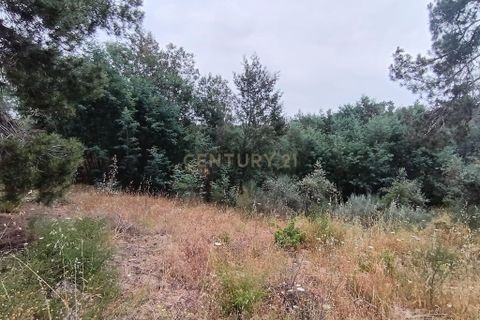 Helårsgrund i Castelo Branco, Castelo Branco, Castelo Branco - € 15.000 | Ref: C0434-01076 - foto 4