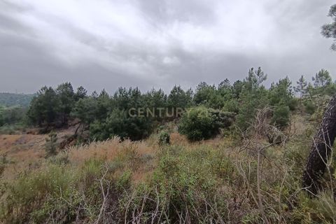 Helårsgrund i Castelo Branco, Castelo Branco, Castelo Branco - € 15.000 | Ref: C0434-01076 - foto 5