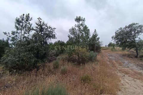 Helårsgrund i Castelo Branco, Castelo Branco, Castelo Branco - € 15.000 | Ref: C0434-01076 - foto 6